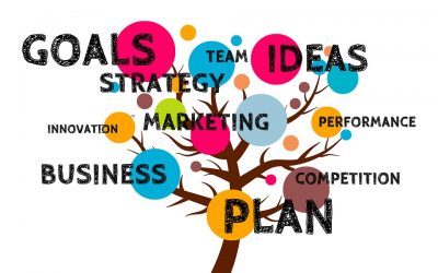 Starting and Growing Your Inspection Business
