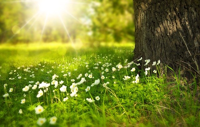 Summer Maintenance Tips