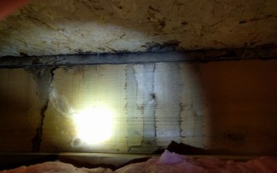 What To Do If A Defect Is Found On Your Home Inspection