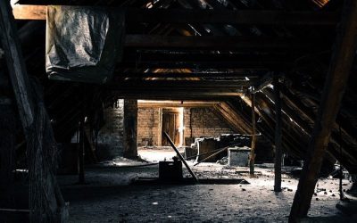What is Hiding in the Attic?