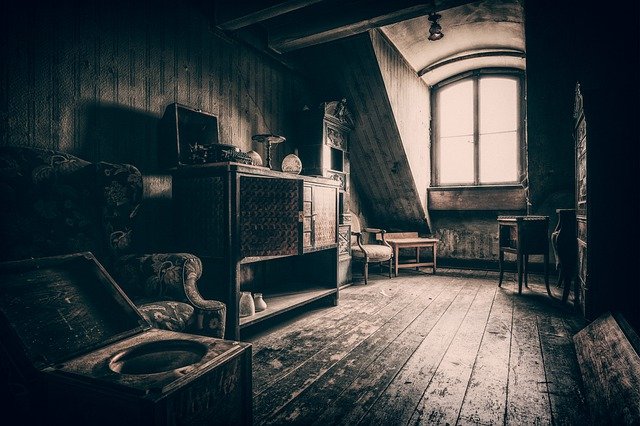 What is hiding in your attic?