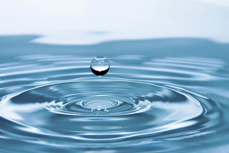 Are You Using Too Much Water?