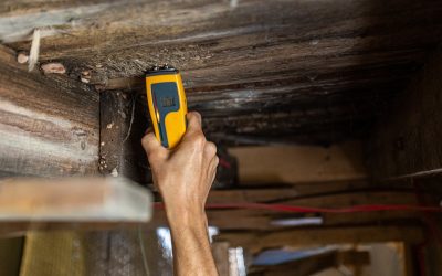 Moisture Meters For Home Inspectors – A Full List Of The Most Recommended Moisture Meters
