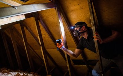 How Can Home Inspectors Stay Safe On The Job