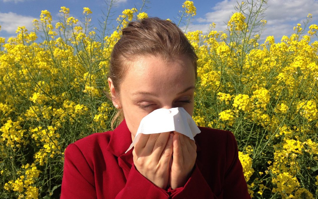 Ways to Get Relief From Spring Allergies