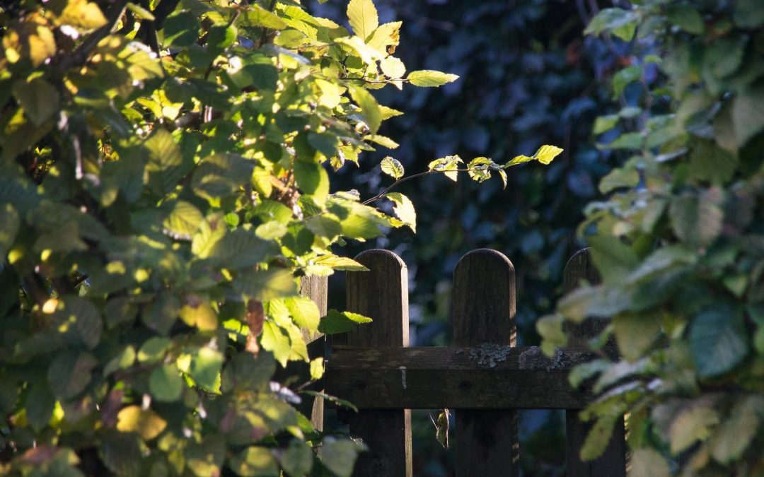 Nightmare Neighbors Or Good Friends – Who’s Next Door?