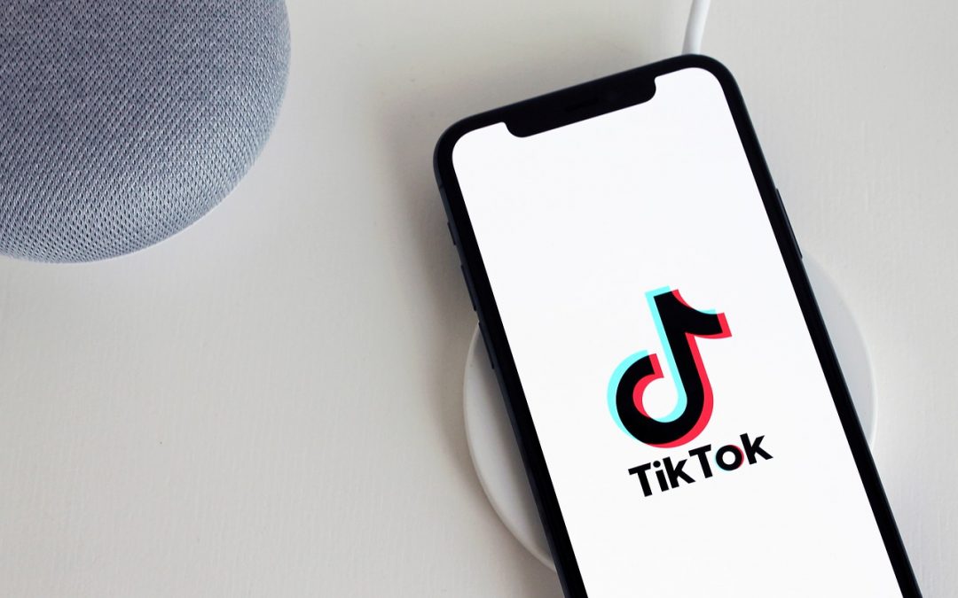 TikTok For Home Inspectors