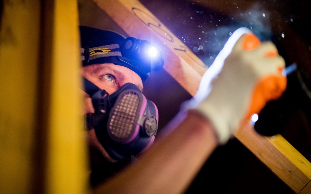 Are Home Inspectors & Building Inspectors the Same Thing?